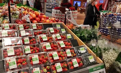 Lạm phát leo thang, niềm tin kinh doanh và tiêu dùng ở Canada suy yếu