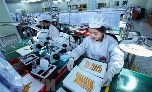 Năm bản lề thực hiện kế hoạch phát triển kinh tế-xã hội: Lửa thử vàng!