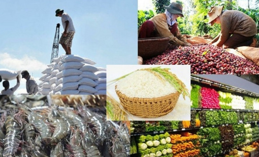 Mục tiêu 55 tỷ USD kim ngạch xuất khẩu nông, lâm, thủy sản có khả thi?