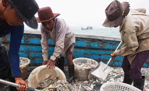 Lao động nhập cư bị tước hộ chiếu, làm việc 20 tiếng/ngày, cuộc sống như "địa ngục" giữa biển khơi