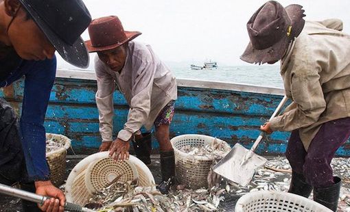 Lao động nhập cư bị tước hộ chiếu, làm việc 20 tiếng/ngày, cuộc sống như "địa ngục" giữa biển khơi
