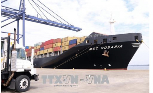 Cảng biển tấp nập đón tàu lớn làm hàng đầu năm