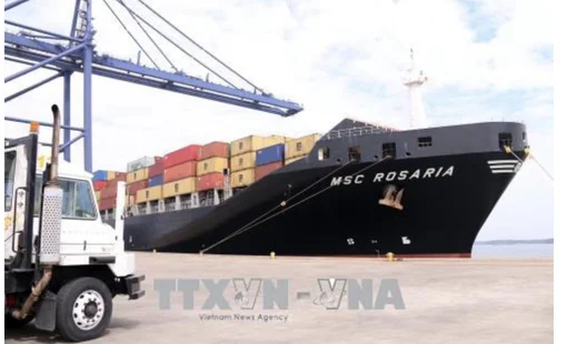 Cảng biển tấp nập đón tàu lớn làm hàng đầu năm