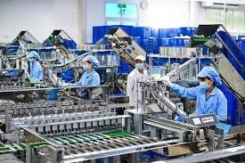 Cộng đồng doanh nghiệp chờ đón những cơ hội trong năm mới Quý Mão