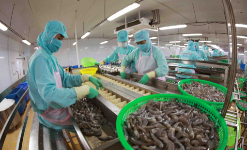 Đột phá thúc đẩy phát triển kinh tế - xã hội