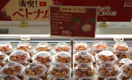 Nông sản Việt Nam từng bước vươn xa ra thị trường thế giới