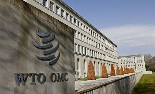 Thúc đẩy cải cách hệ thống giải quyết tranh chấp thương mại của WTO