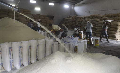 Giá gạo Ấn Độ tăng lên mức cao nhất trong gần hai năm