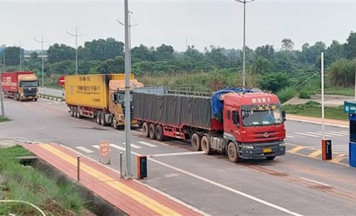 Đưa Móng Cái trở thành cửa ngõ xuất nhập khẩu hàng nông, thủy sản