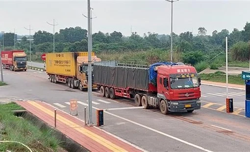 Đưa Móng Cái trở thành cửa ngõ xuất nhập khẩu hàng nông, thủy sản