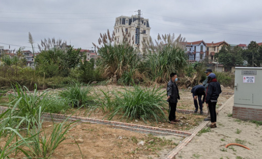 Tham lãi khủng, nhà đầu tư bất động sản chật vật trên đống nợ