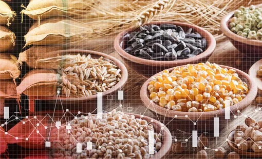 Căng thẳng nguồn cung có thể đẩy giá ngũ cốc tăng vọt trong năm 2023