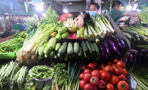 Chuyên gia dự đoán kinh tế Trung Quốc phục hồi ổn định trong năm 2023