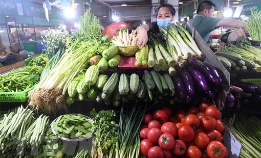 Chuyên gia dự đoán kinh tế Trung Quốc phục hồi ổn định trong năm 2023