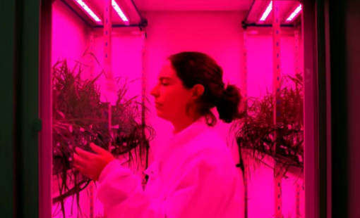 Nước Anh mơ thành "siêu cường khoa học": Tạo công cụ nuôi 8 tỷ người, tham vọng startup nhỏ thành "kỳ lân" tỷ USD