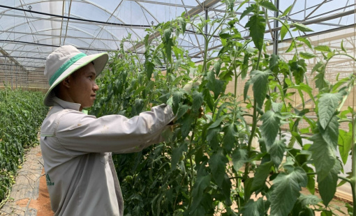 Đảm bảo cung ứng hàng hóa dồi dào trong dịp Tết Nguyên đán 2023