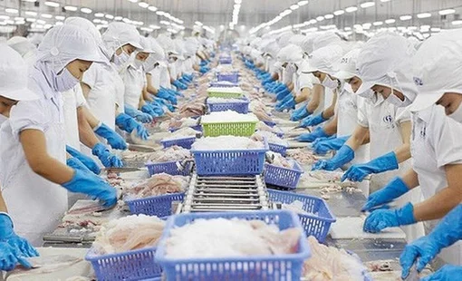Động lực kinh tế Việt Nam năm 2023 tăng trưởng 6,5%