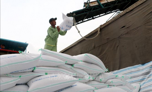 Thị trường nông sản: Giá gạo xuất khẩu đi ngang