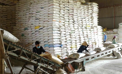 Linh hoạt các giải pháp, dựa vào nội lực để GDP năm 2023 tăng tốt