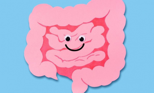 Bạn có biết "hệ thần kinh ruột" giống như bộ não thứ hai của con người?