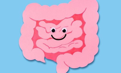 Bạn có biết "hệ thần kinh ruột" giống như bộ não thứ hai của con người?