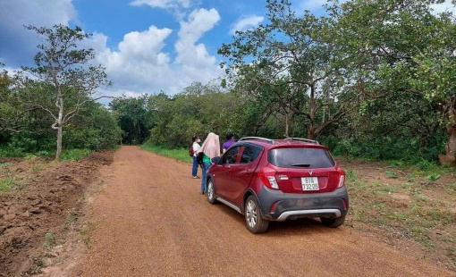 Dự báo thời điểm cơn "sốt đất" có thể quay trở lại thị trường địa ốc?