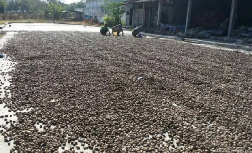 "Kho vàng tỷ đô" được gần 1/2 thế giới ưa chuộng: Mỹ, Trung Quốc mạnh tay săn lùng, Việt Nam thống trị nguồn cung toàn cầu