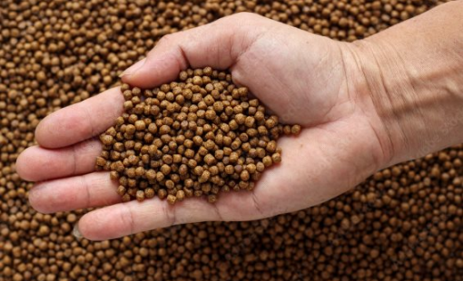 Một mặt hàng của Việt Nam đang "hốt bạc" từ Trung Quốc: Trở thành vị cứu tinh khiến láng giềng phụ thuộc, gia nhập câu lạc bộ tỷ đô sau 10 tháng