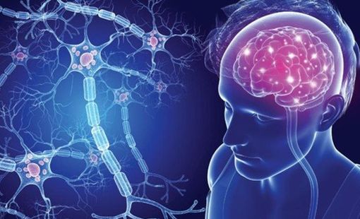 Bạn có biết "đường ruột" ảnh hưởng lớn đến "sức khỏe tinh thần"?