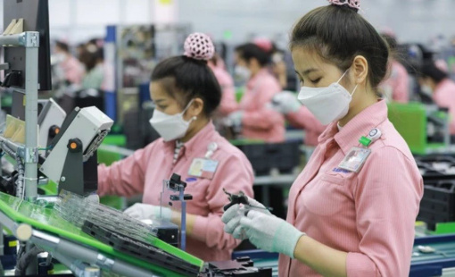 Một mặt hàng đem về cho Việt Nam vài tỷ USD mỗi tháng từ các cường quốc công nghệ Trung Quốc, Mỹ, Hàn Quốc…