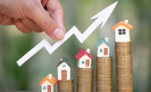 Xuất hiện tâm lý sợ lỡ mất cơ hội, người mua tranh thủ "rút hầu bao" cận Tết