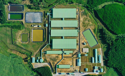 “Sống chung với dịch”, tìm cơ hội trong thách thức