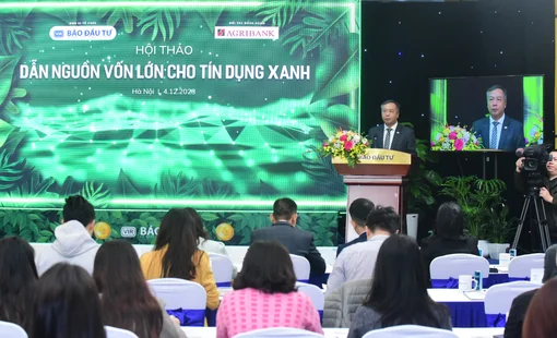 Tăng trưởng bình quân hơn 23%/năm, vì sao tín dụng xanh mới đạt khoảng 4,4% tổng dư nợ toàn nền kinh tế?