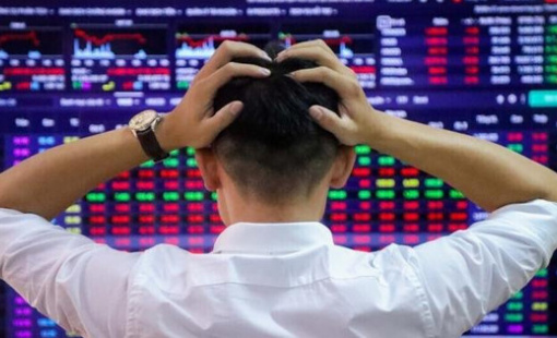 Trí Việt (TVC) báo lỗ thêm 113 tỷ sau khi ông Phạm Thanh Tùng bị khởi tố, khoản đầu tư 900 vào HPG đang “bốc hơi” 30%