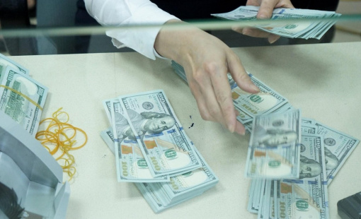 “Ngân hàng Nhà nước đã mua vào 2,78 tỷ USD chỉ trong tháng 1”