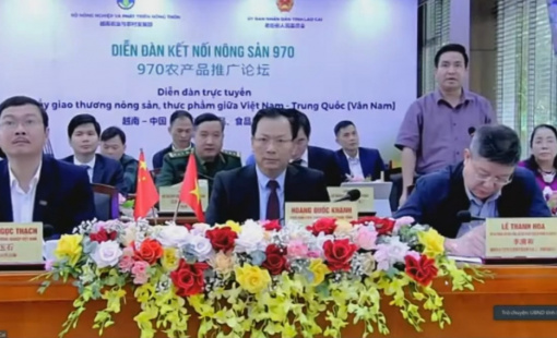 Lượng xe vận chuyển qua biên giới: Hàng Việt Nam chỉ chiếm 30%, Trung Quốc 70%