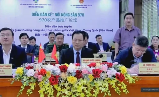 Lượng xe vận chuyển qua biên giới: Hàng Việt Nam chỉ chiếm 30%, Trung Quốc 70%