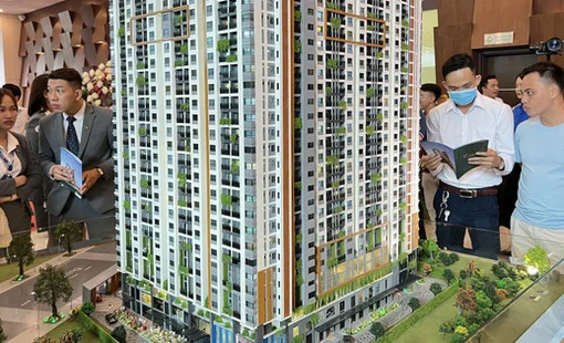TS. Nguyễn Chí Hiếu: Các sản phẩm đầu cơ là bèo, dòng tiền đầu cơ là nước, khi nước rút thì bèo chết