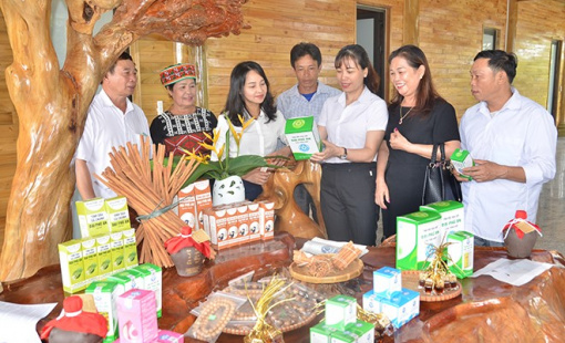 Văn Yên - Yên Bái: Điểm sáng thu hút dòng vốn đầu tư khu vực Tây Bắc