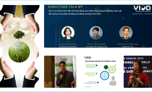 Hội đồng quản trị doanh nghiệp, nhìn từ dẫn chứng Hòa Phát và Hòa Bình