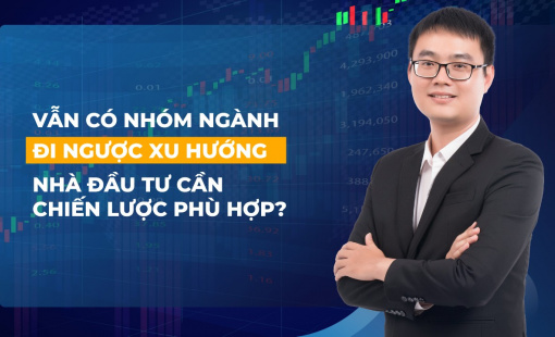 Vẫn có nhóm ngành đi ngược xu hướng thị trường chứng khoán, nhà đầu tư nên hành động gì?
