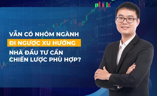 Vẫn có nhóm ngành đi ngược xu hướng thị trường chứng khoán, nhà đầu tư nên hành động gì?