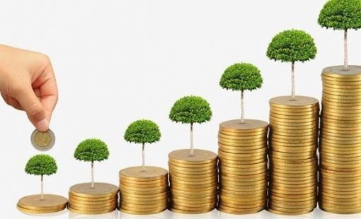 Quy mô vốn của doanh nghiệp thành lập mới ngày càng nhỏ đi