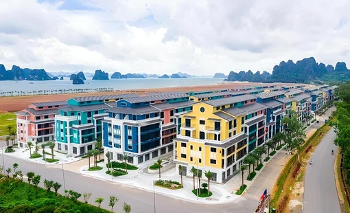 Kê khai sai thuế, Tập đoàn C.E.O bị phạt gần 58 triệu đồng