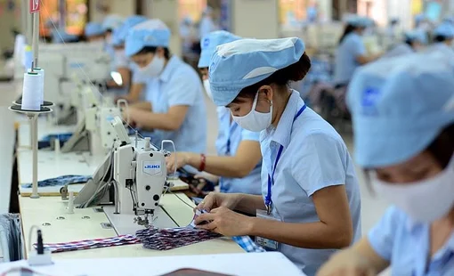 Năm 2023, lợi nhuận ròng của các công ty gia công may mặc lớn sẽ ra sao?