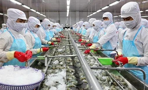 Xuất khẩu thủy sản đầu năm 2023: Áp lực lạm phát vẫn hiện hữu