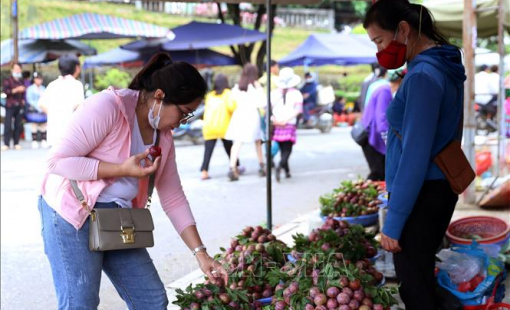Lợi ích kép khi nông nghiệp và du lịch "kết đôi"