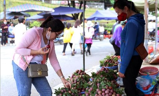 Lợi ích kép khi nông nghiệp và du lịch "kết đôi"