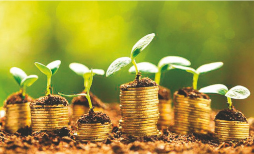 Ngành sản xuất chiếm gần một nửa nhu cầu nhân sự "xanh" tại Việt Nam