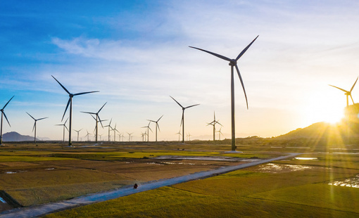 Kêu cứu Thủ tướng nhưng chưa chủ đầu tư điện tái tạo nào gửi hồ sơ bán điện cho EVN